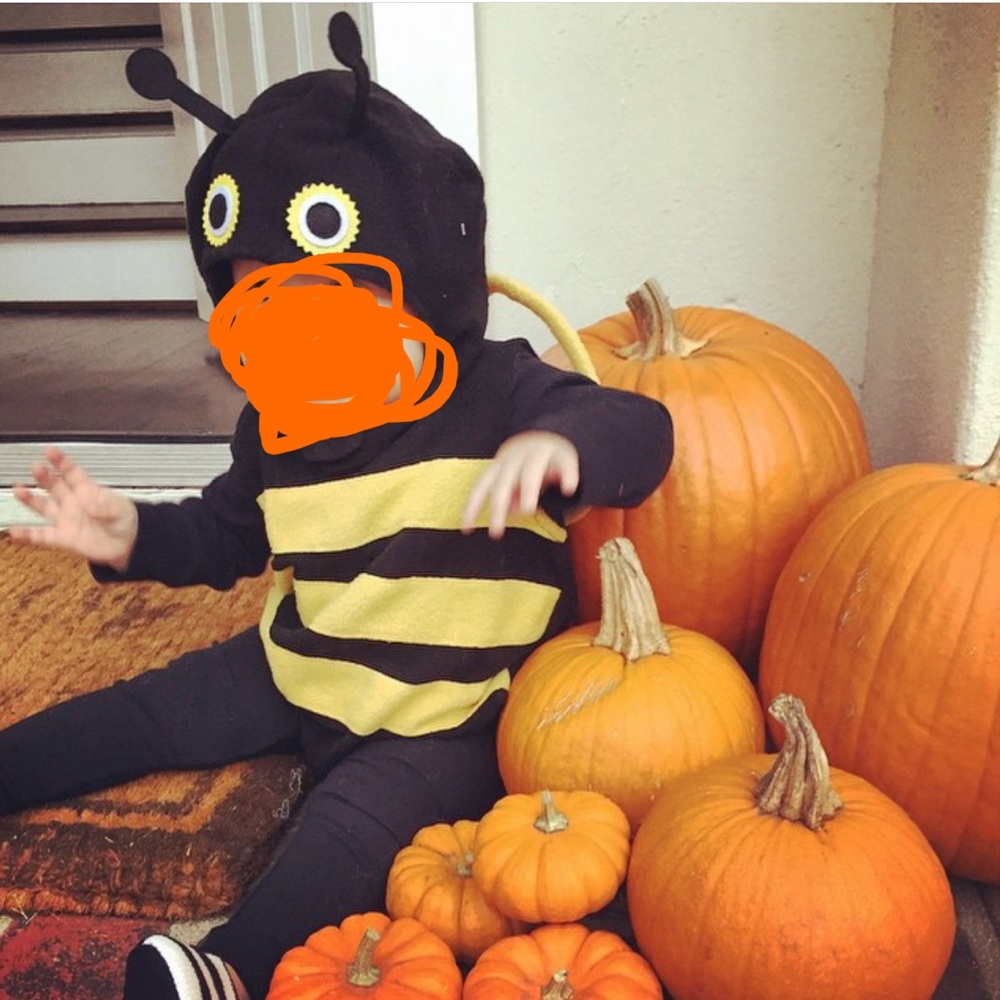 Pottery barn kids bee costume, size 6-12m